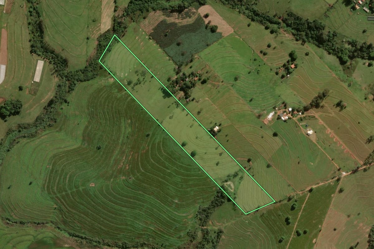 Imagem de satélite do imóvel rural em Cruzeiro do Oeste (PR), com o contorno declarado no CAR desenhado por cima.