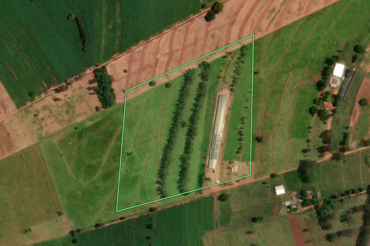 Imagem de satélite do imóvel rural em Cruzeiro do Oeste (PR), com o contorno declarado no CAR desenhado por cima.
