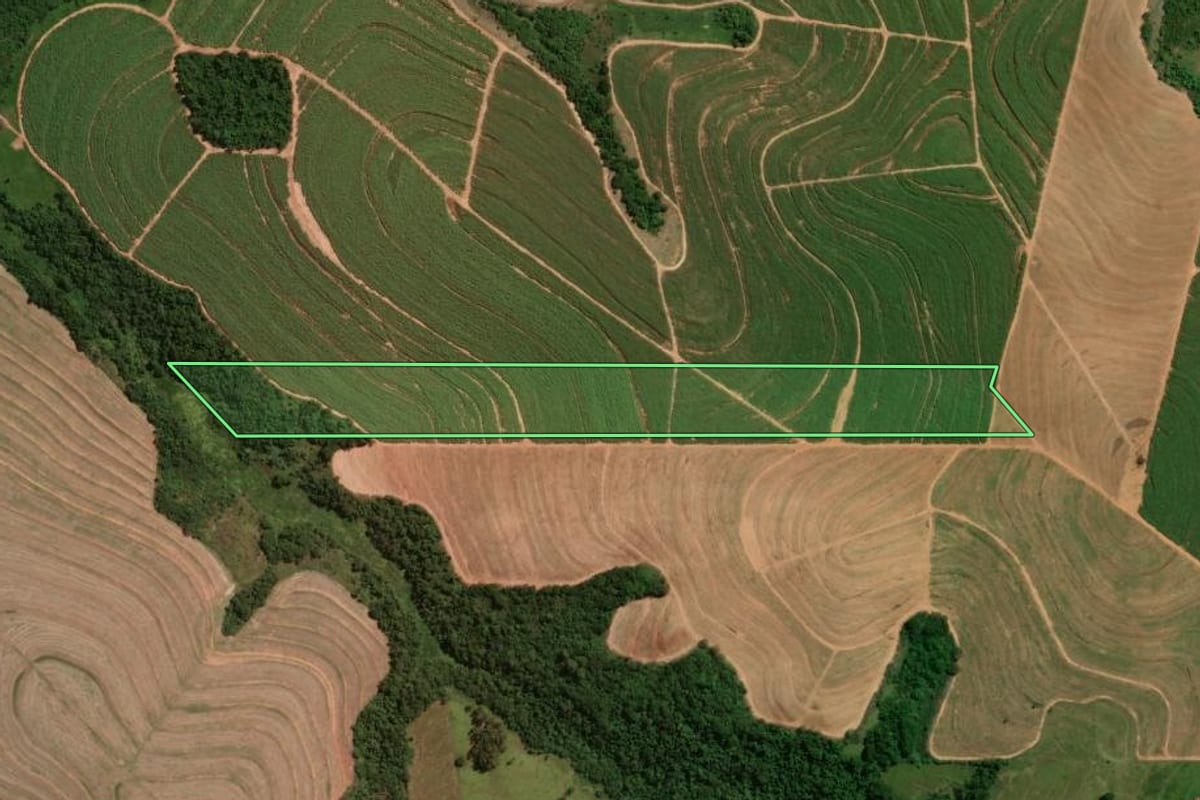 Imagem de satélite do imóvel rural em Cruzeiro do Oeste (PR), com o contorno declarado no CAR desenhado por cima.