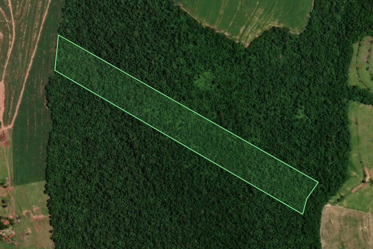 Imagem de satélite do imóvel rural em Cruzeiro do Oeste (PR), com o contorno declarado no CAR desenhado por cima.