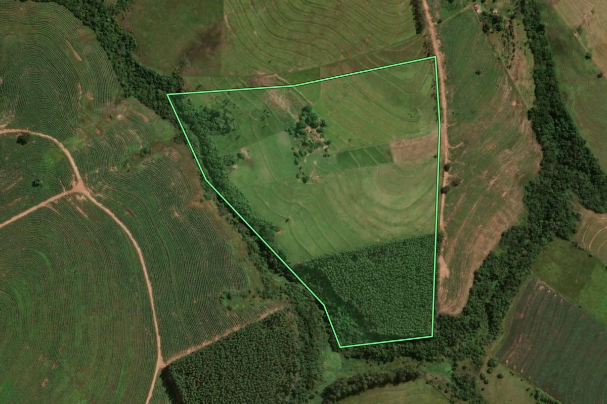 Imagem de satélite do imóvel rural em Cruzeiro do Oeste (PR), com o contorno declarado no CAR desenhado por cima.