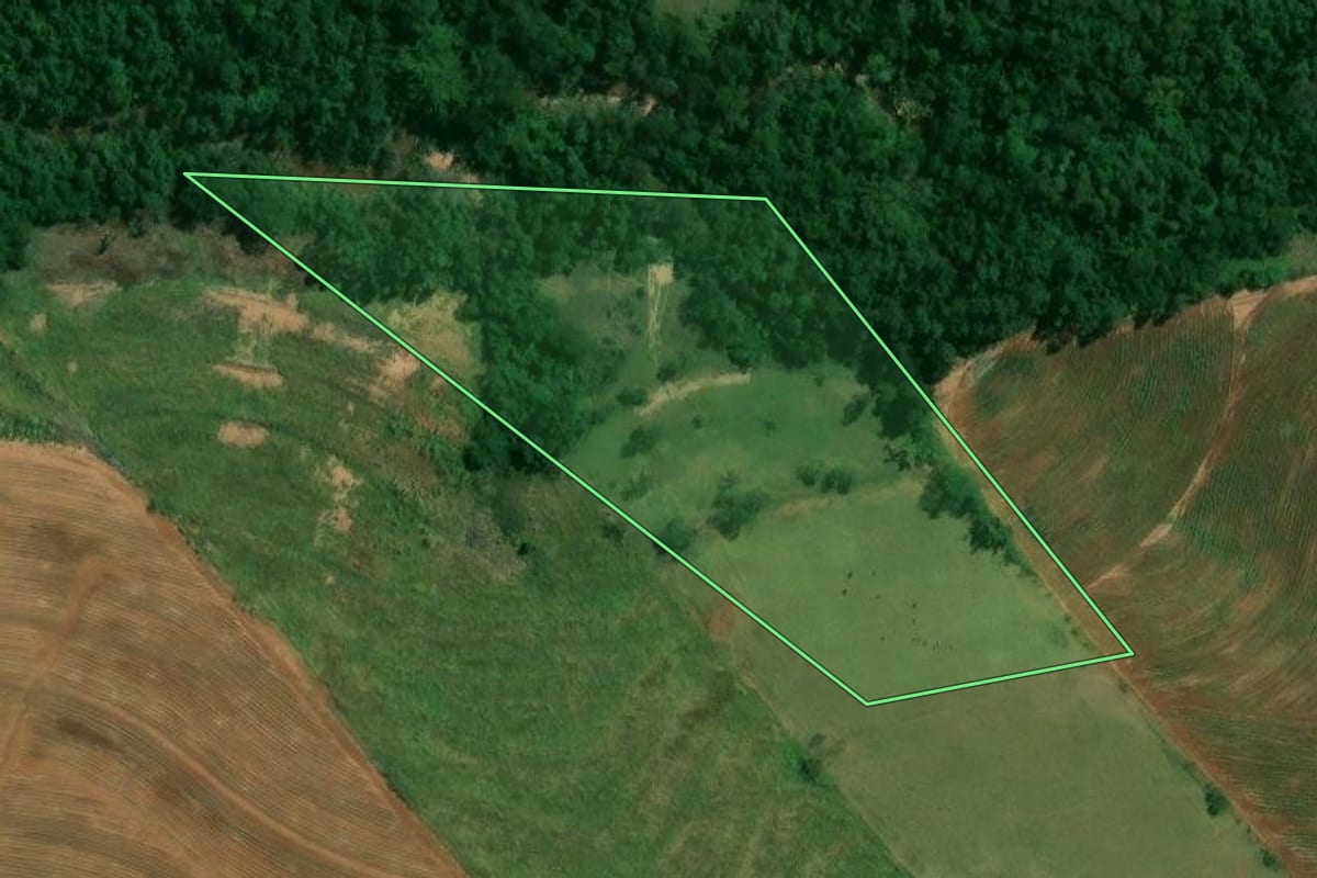 Imagem de satélite do imóvel rural em Cruzeiro do Sul (PR), com o contorno declarado no CAR desenhado por cima.