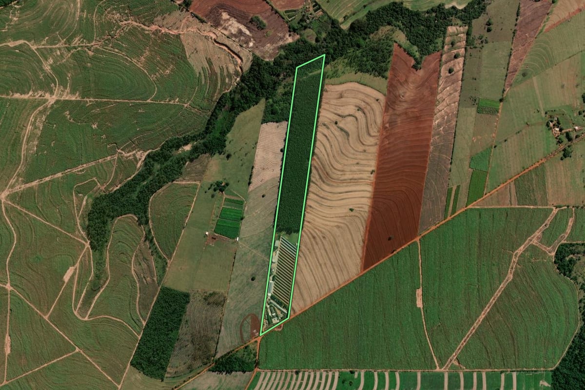 Imagem de satélite do imóvel rural em Cruzeiro do Sul (PR), com o contorno declarado no CAR desenhado por cima.
