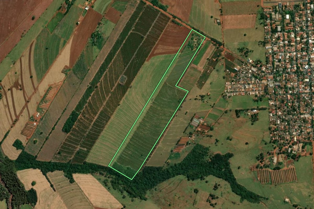 Imagem de satélite do imóvel rural em Cruzeiro do Sul (PR), com o contorno declarado no CAR desenhado por cima.