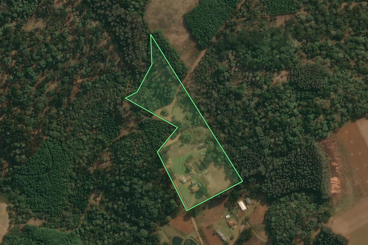 Imagem de satélite do imóvel rural em Cruz Machado (PR), com o contorno declarado no CAR desenhado por cima.