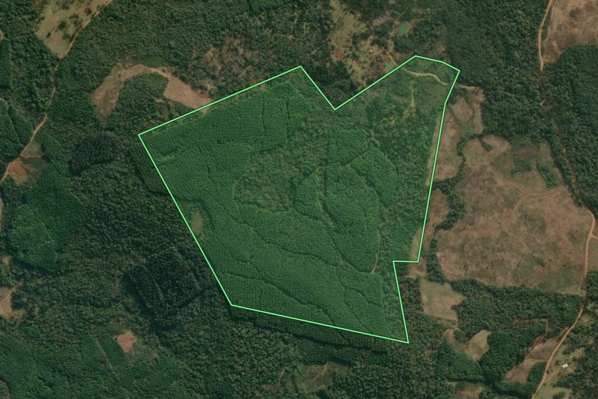 Imagem de satélite do imóvel rural em Cruz Machado (PR), com o contorno declarado no CAR desenhado por cima.