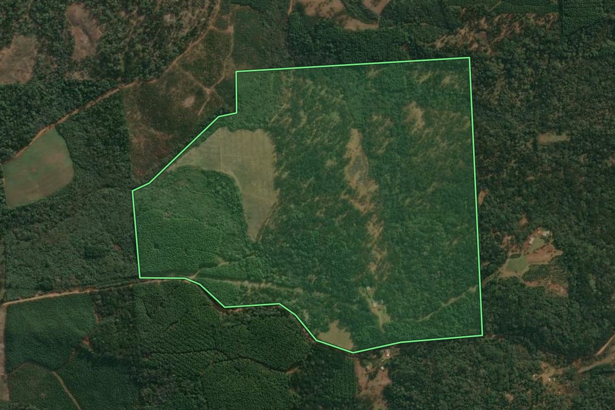 Imagem de satélite do imóvel rural em Cruz Machado (PR), com o contorno declarado no CAR desenhado por cima.