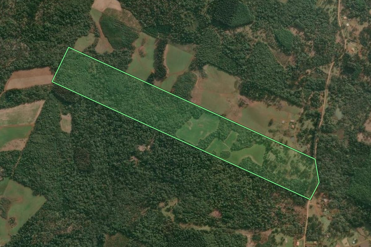 Imagem de satélite do imóvel rural em Cruz Machado (PR), com o contorno declarado no CAR desenhado por cima.