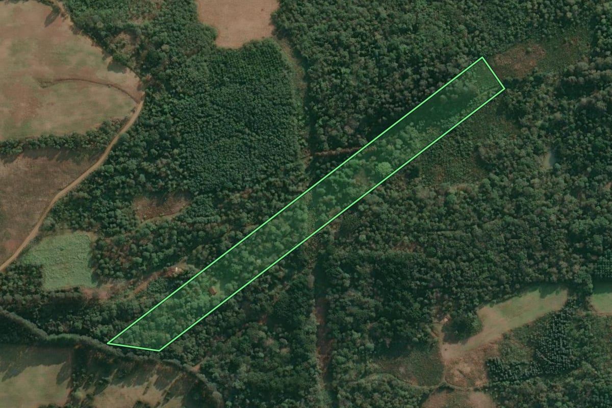 Imagem de satélite do imóvel rural em Cruz Machado (PR), com o contorno declarado no CAR desenhado por cima.