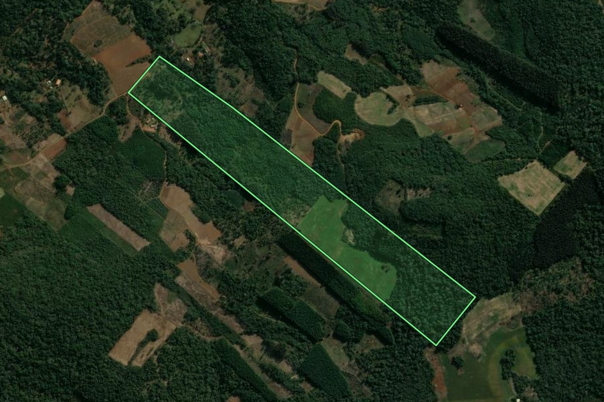 Imagem de satélite do imóvel rural em Cruz Machado (PR), com o contorno declarado no CAR desenhado por cima.