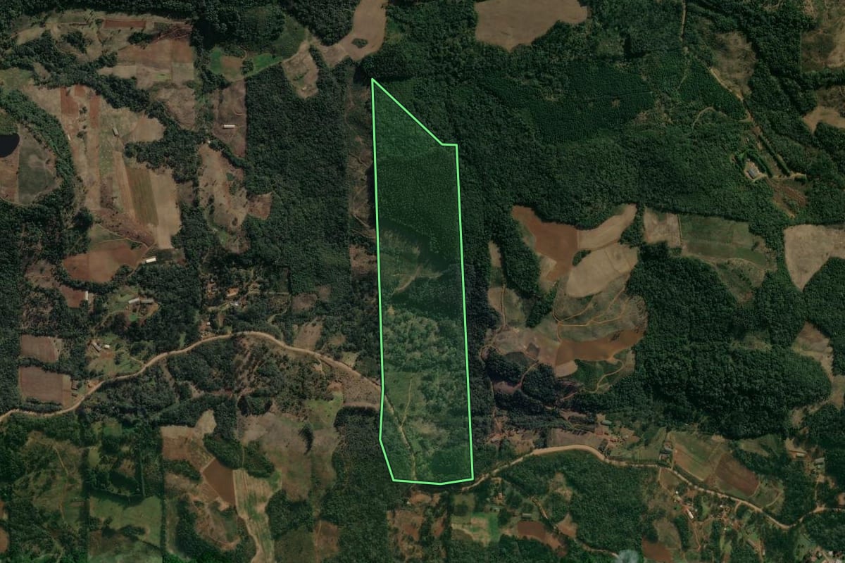 Imagem de satélite do imóvel rural em Cruz Machado (PR), com o contorno declarado no CAR desenhado por cima.