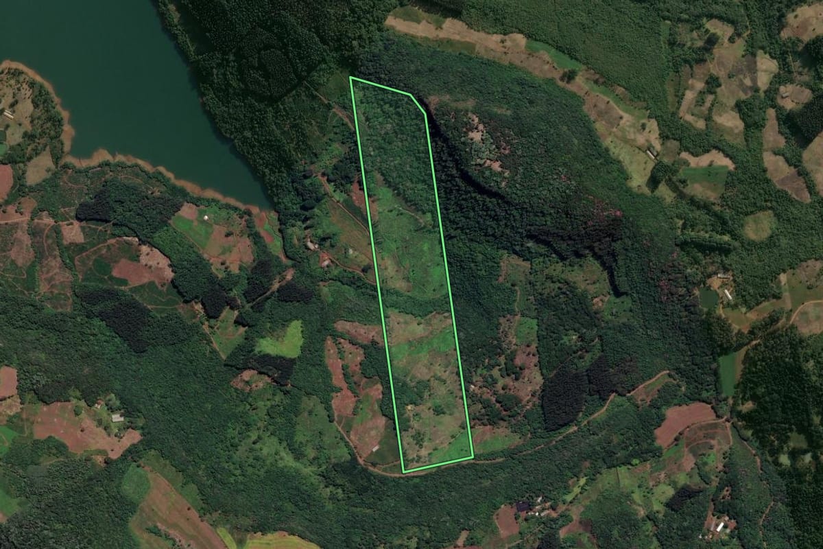 Imagem de satélite do imóvel rural em Cruz Machado (PR), com o contorno declarado no CAR desenhado por cima.