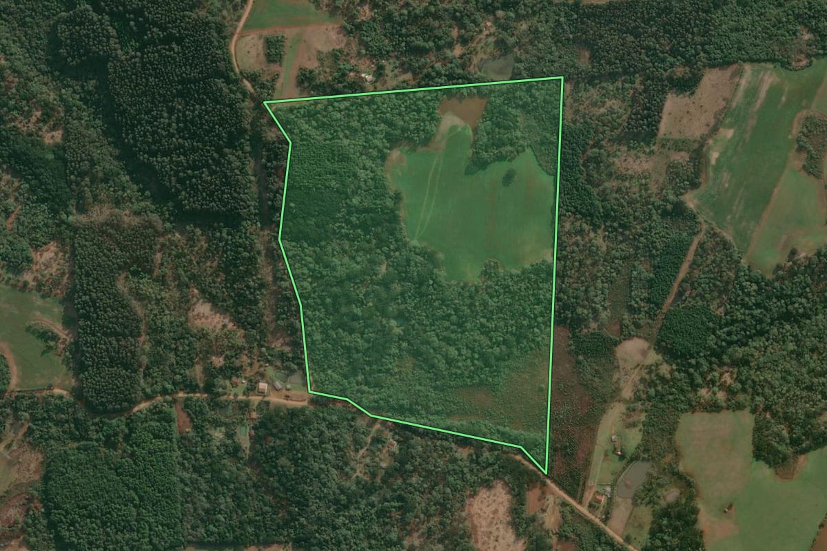 Imagem de satélite do imóvel rural em Cruz Machado (PR), com o contorno declarado no CAR desenhado por cima.