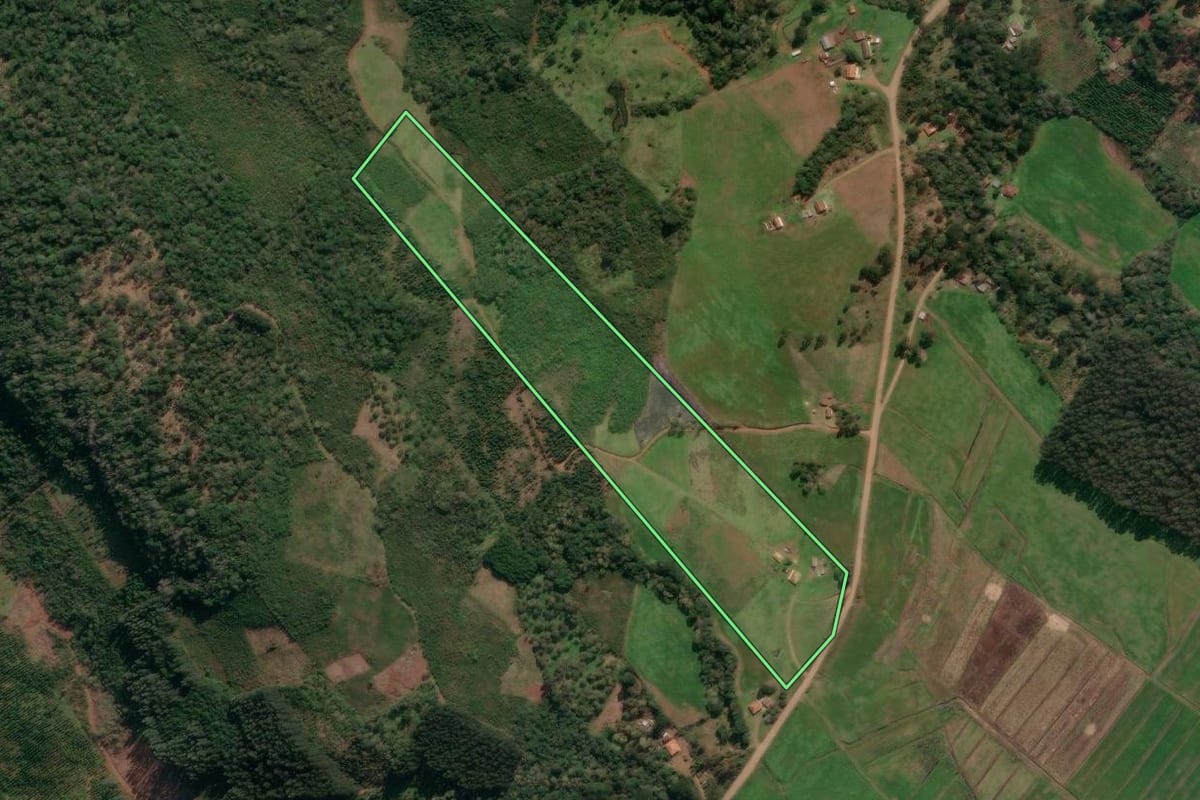 Imagem de satélite do imóvel rural em Cruz Machado (PR), com o contorno declarado no CAR desenhado por cima.