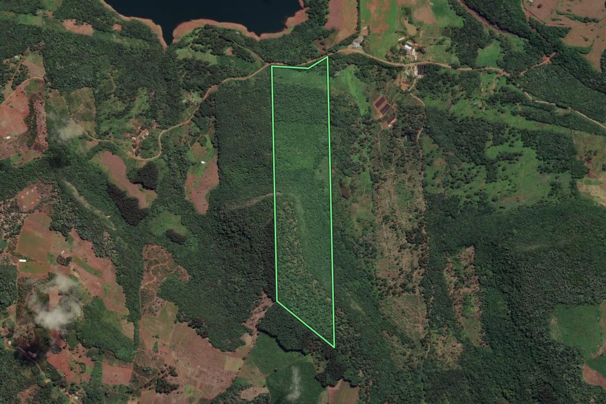 Imagem de satélite do imóvel rural em Cruz Machado (PR), com o contorno declarado no CAR desenhado por cima.