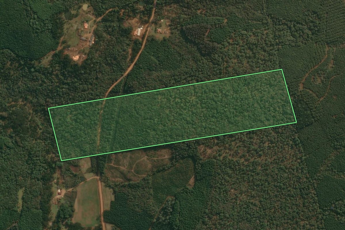 Imagem de satélite do imóvel rural em Cruz Machado (PR), com o contorno declarado no CAR desenhado por cima.