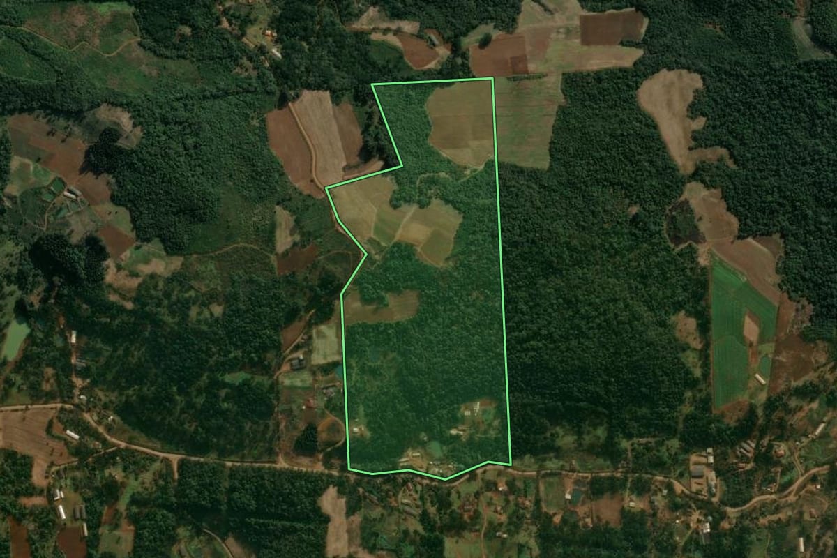 Imagem de satélite do imóvel rural em Cruz Machado (PR), com o contorno declarado no CAR desenhado por cima.