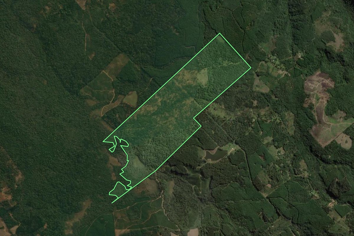 Imagem de satélite do imóvel rural em Cruz Machado (PR), com o contorno declarado no CAR desenhado por cima.