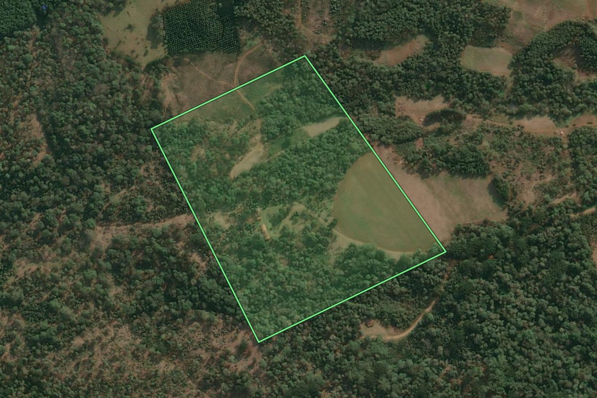 Imagem de satélite do imóvel rural em Cruz Machado (PR), com o contorno declarado no CAR desenhado por cima.