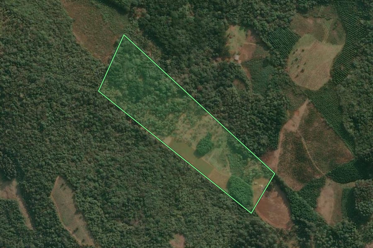 Imagem de satélite do imóvel rural em Cruz Machado (PR), com o contorno declarado no CAR desenhado por cima.