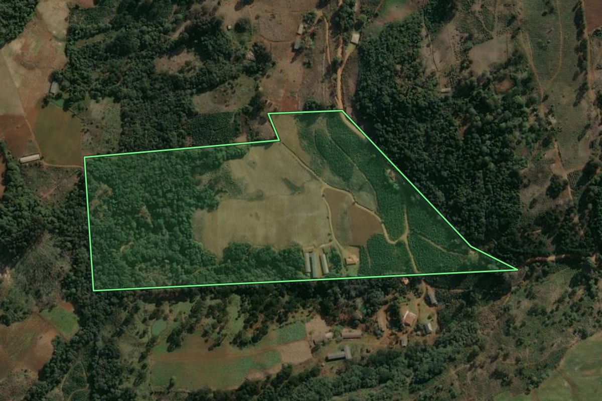 Imagem de satélite do imóvel rural em Cruz Machado (PR), com o contorno declarado no CAR desenhado por cima.