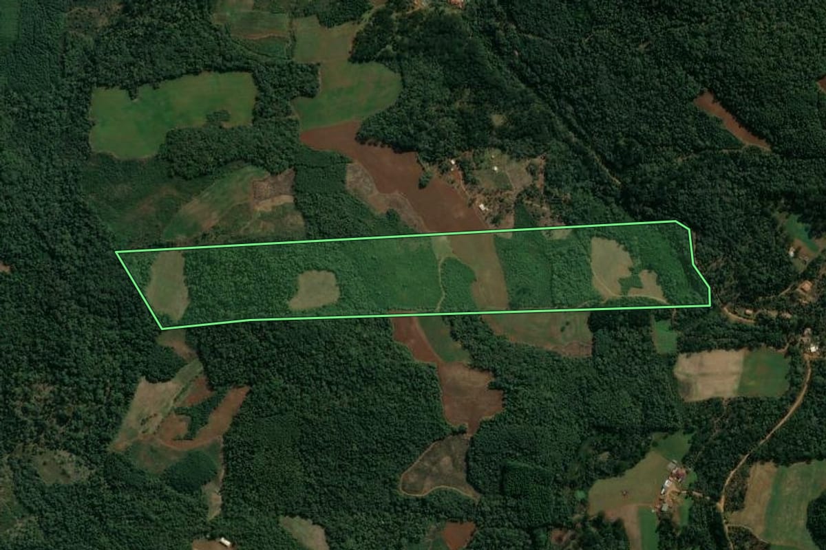 Imagem de satélite do imóvel rural em Cruz Machado (PR), com o contorno declarado no CAR desenhado por cima.