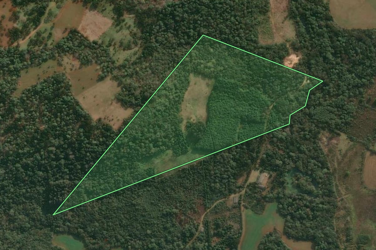 Imagem de satélite do imóvel rural em Cruz Machado (PR), com o contorno declarado no CAR desenhado por cima.