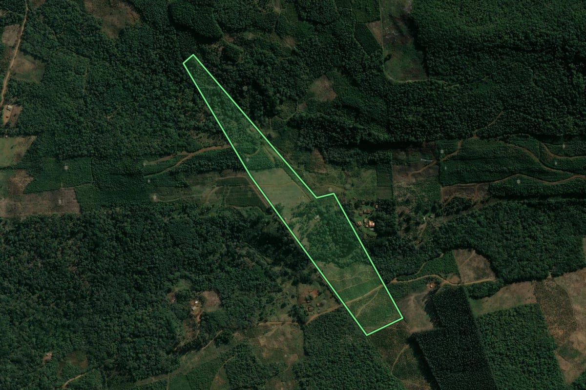 Imagem de satélite do imóvel rural em Cruz Machado (PR), com o contorno declarado no CAR desenhado por cima.