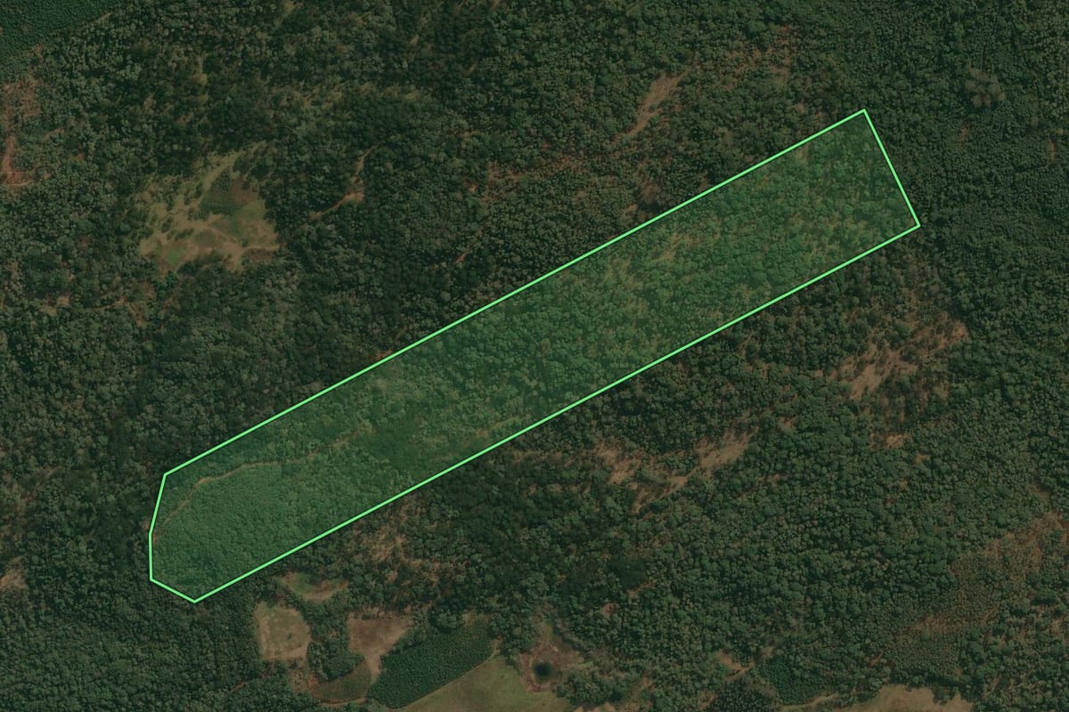 Imagem de satélite do imóvel rural em Cruz Machado (PR), com o contorno declarado no CAR desenhado por cima.