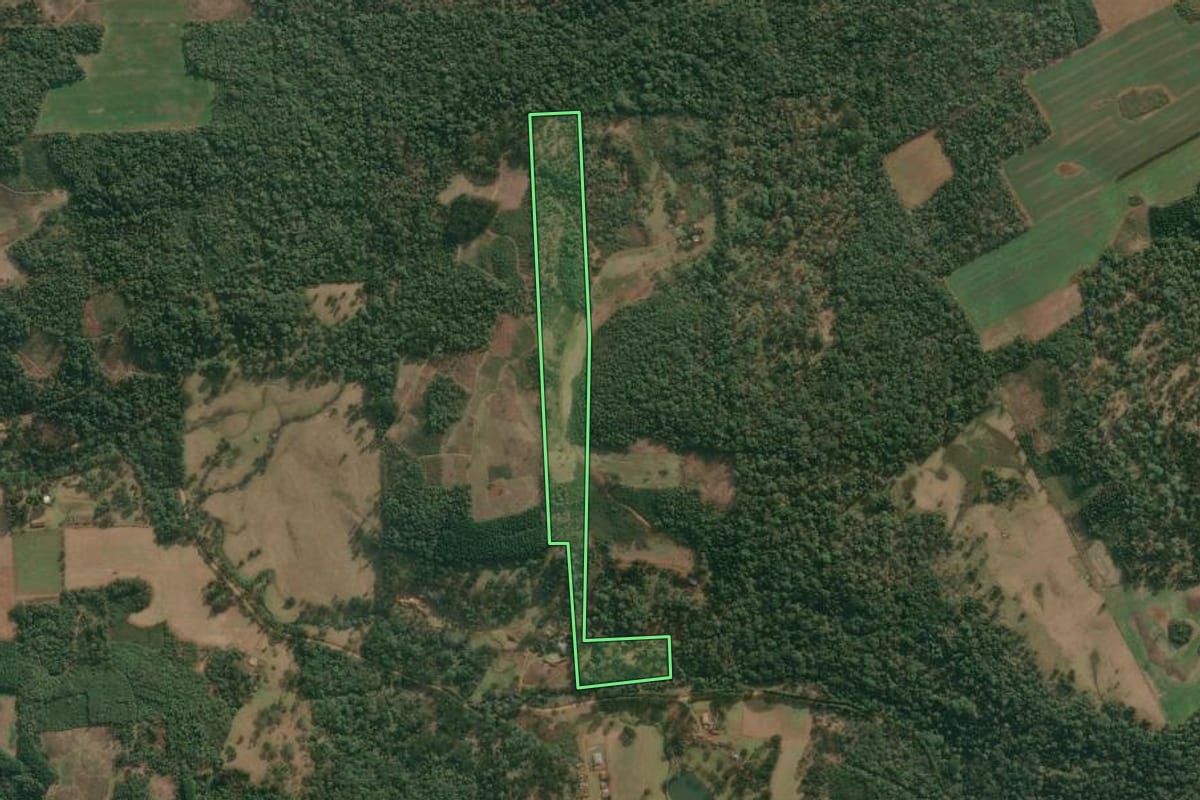 Imagem de satélite do imóvel rural em Cruz Machado (PR), com o contorno declarado no CAR desenhado por cima.