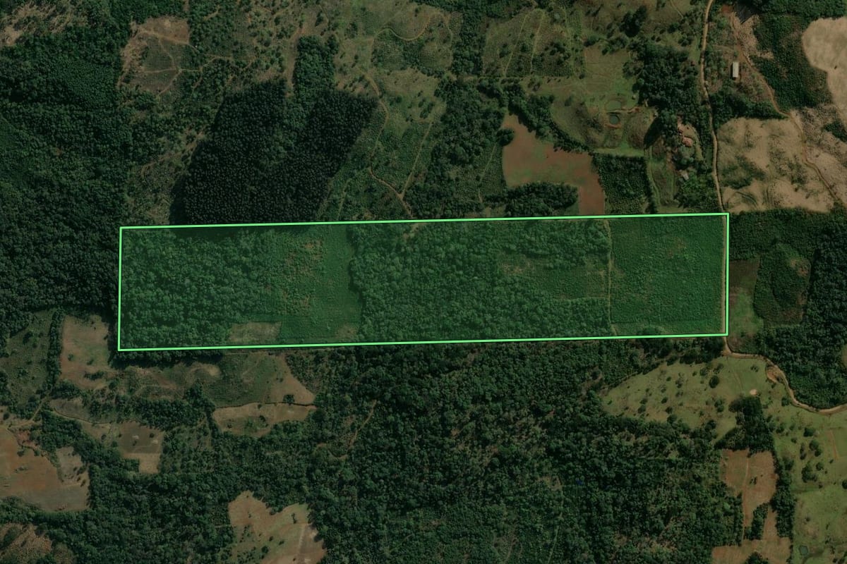 Imagem de satélite do imóvel rural em Cruz Machado (PR), com o contorno declarado no CAR desenhado por cima.