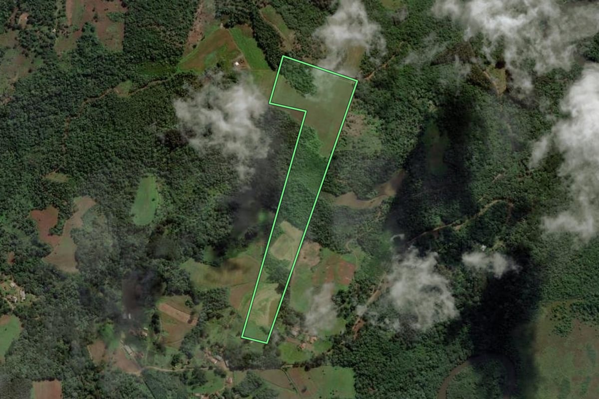 Imagem de satélite do imóvel rural em Cruz Machado (PR), com o contorno declarado no CAR desenhado por cima.