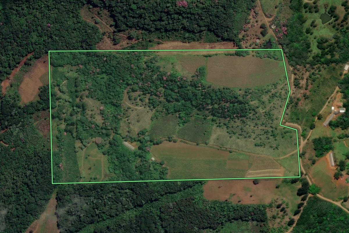 Imagem de satélite do imóvel rural em Cruz Machado (PR), com o contorno declarado no CAR desenhado por cima.