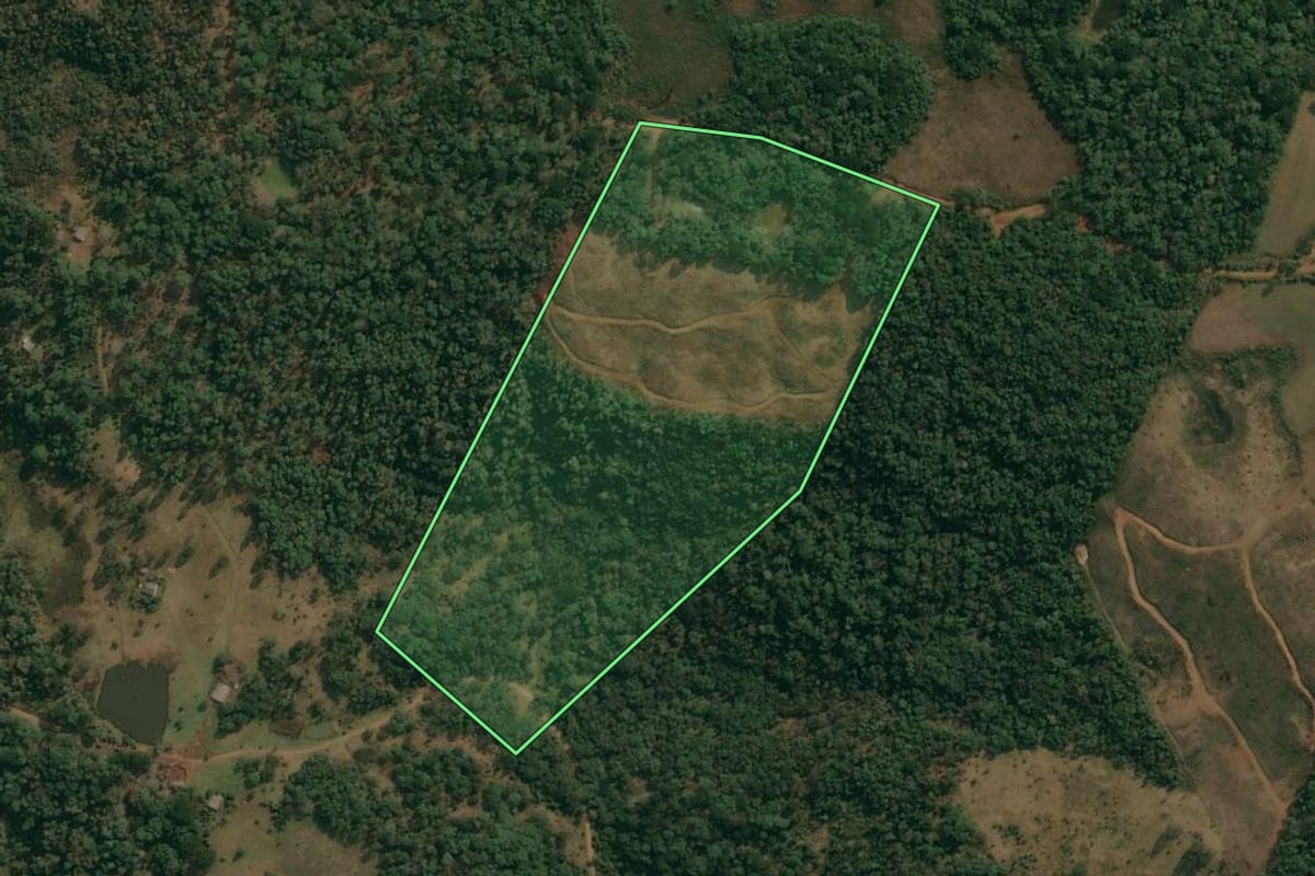 Imagem de satélite do imóvel rural em Cruz Machado (PR), com o contorno declarado no CAR desenhado por cima.