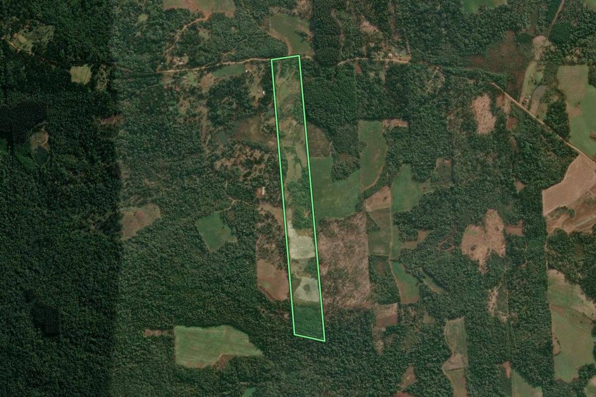 Imagem de satélite do imóvel rural em Cruz Machado (PR), com o contorno declarado no CAR desenhado por cima.