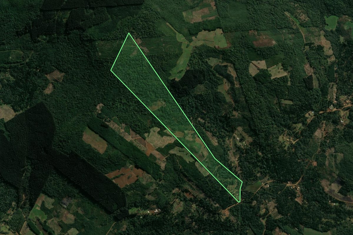 Imagem de satélite do imóvel rural em Cruz Machado (PR), com o contorno declarado no CAR desenhado por cima.