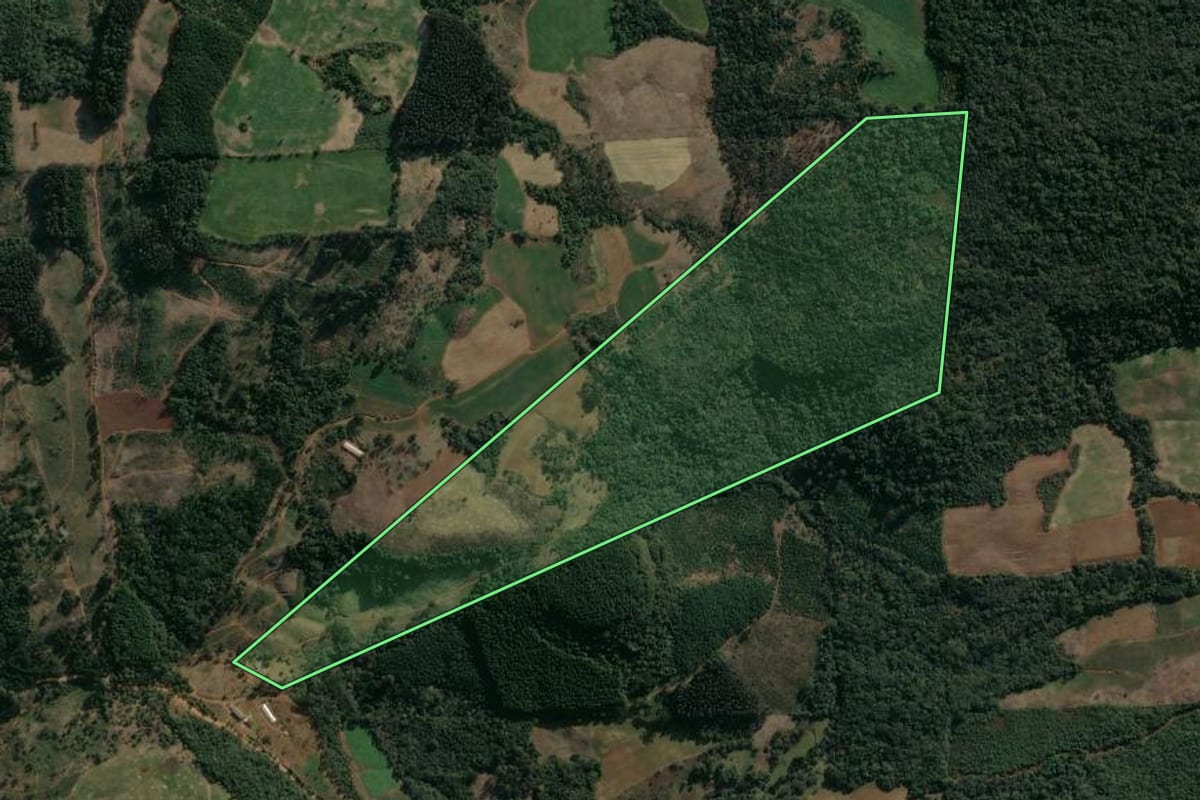 Imagem de satélite do imóvel rural em Cruz Machado (PR), com o contorno declarado no CAR desenhado por cima.