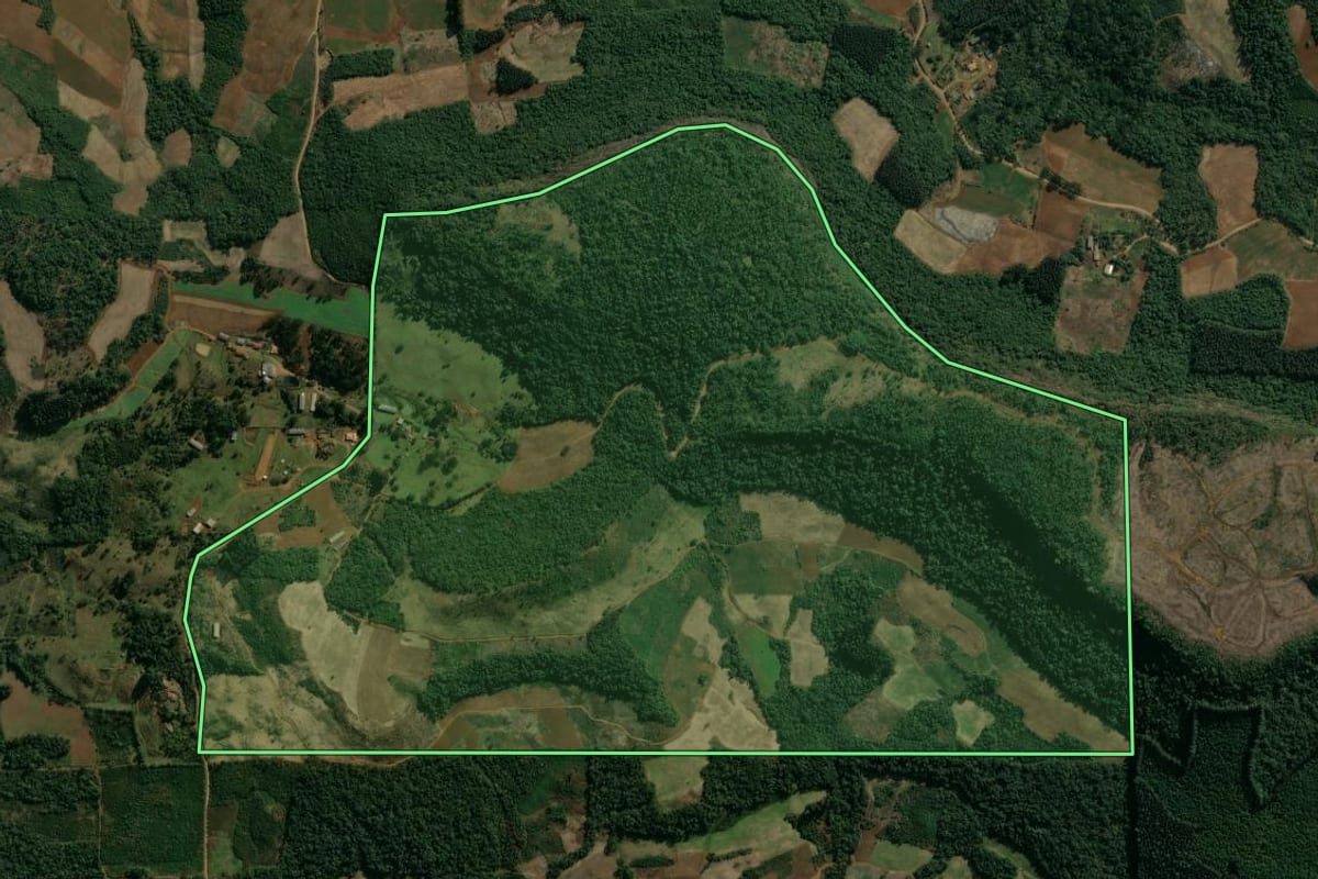 Imagem de satélite do imóvel rural em Cruz Machado (PR), com o contorno declarado no CAR desenhado por cima.