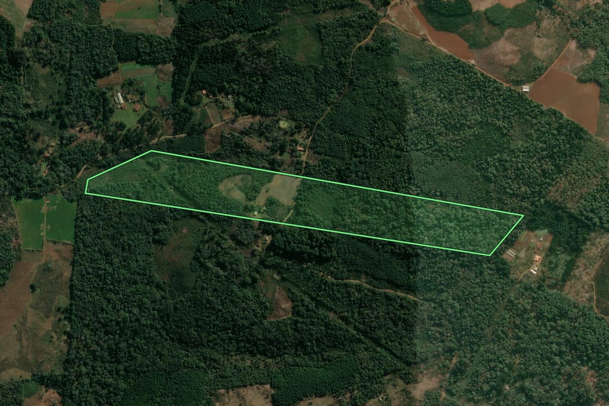 Imagem de satélite do imóvel rural em Cruz Machado (PR), com o contorno declarado no CAR desenhado por cima.