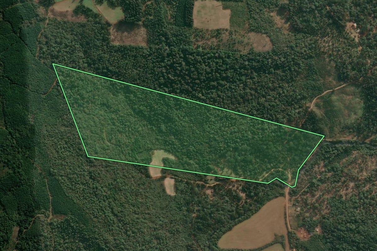 Imagem de satélite do imóvel rural em Cruz Machado (PR), com o contorno declarado no CAR desenhado por cima.