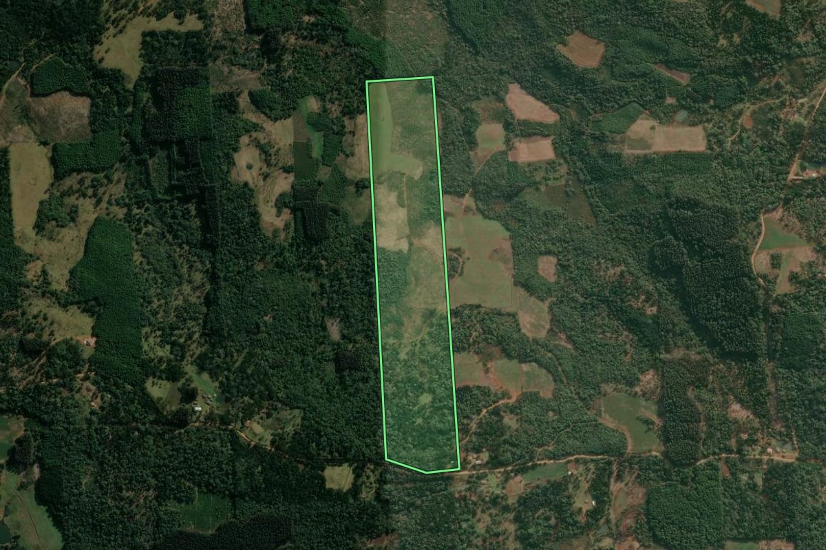 Imagem de satélite do imóvel rural em Cruz Machado (PR), com o contorno declarado no CAR desenhado por cima.