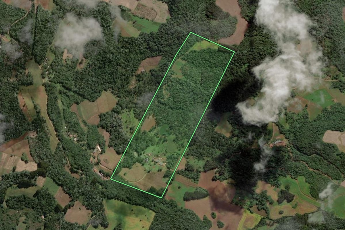 Imagem de satélite do imóvel rural em Cruz Machado (PR), com o contorno declarado no CAR desenhado por cima.