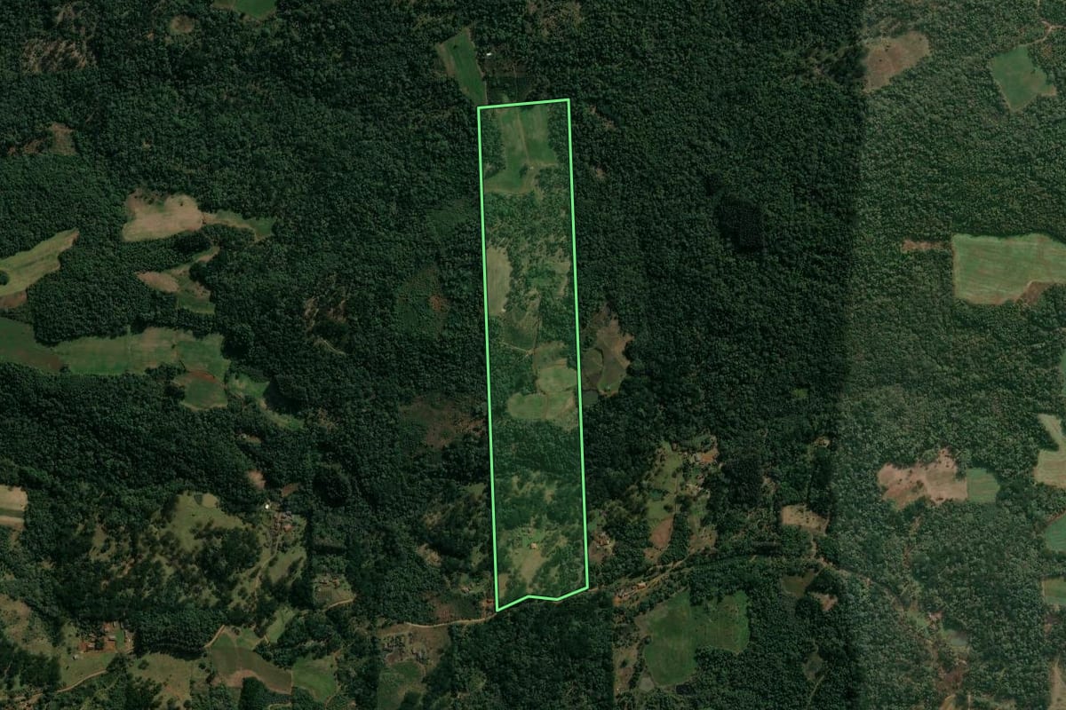 Imagem de satélite do imóvel rural em Cruz Machado (PR), com o contorno declarado no CAR desenhado por cima.