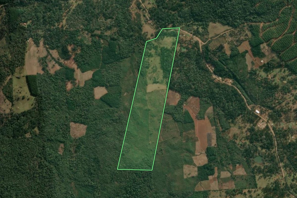 Imagem de satélite do imóvel rural em Cruz Machado (PR), com o contorno declarado no CAR desenhado por cima.