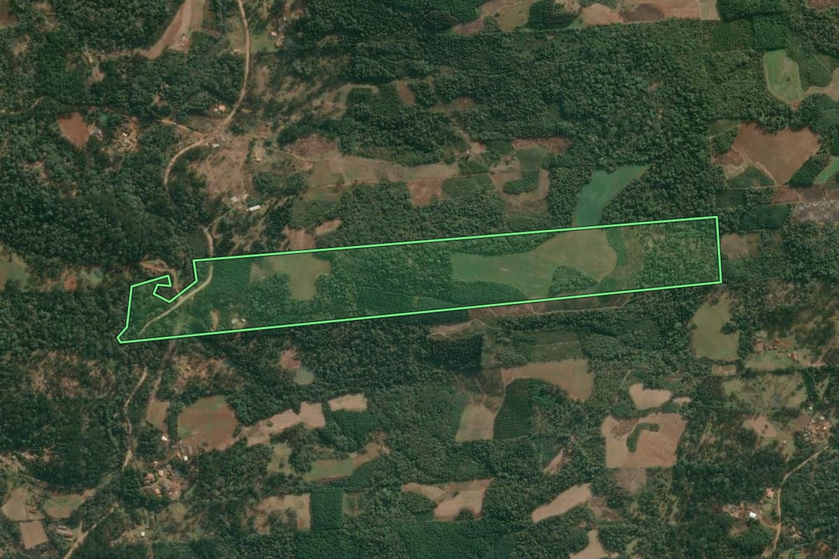 Imagem de satélite do imóvel rural em Cruz Machado (PR), com o contorno declarado no CAR desenhado por cima.