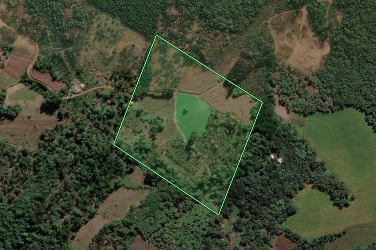 Imagem de satélite do imóvel rural em Cruz Machado (PR), com o contorno declarado no CAR desenhado por cima.