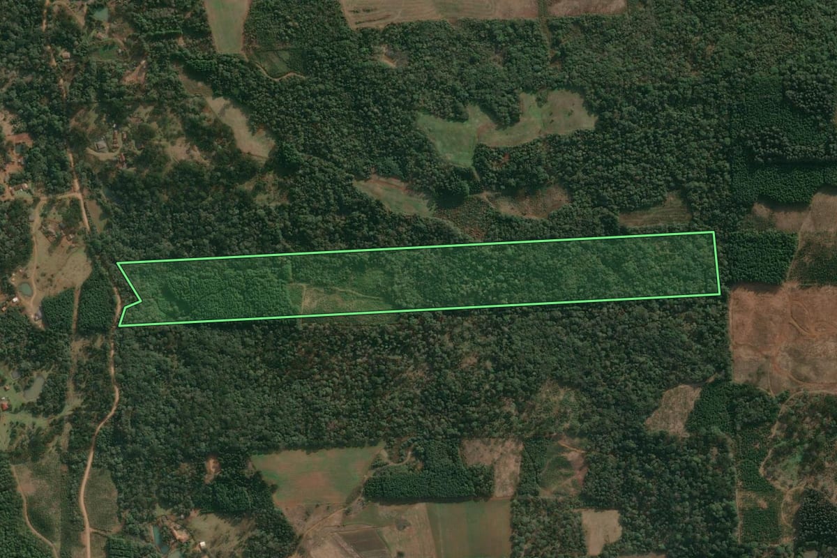 Imagem de satélite do imóvel rural em Cruz Machado (PR), com o contorno declarado no CAR desenhado por cima.