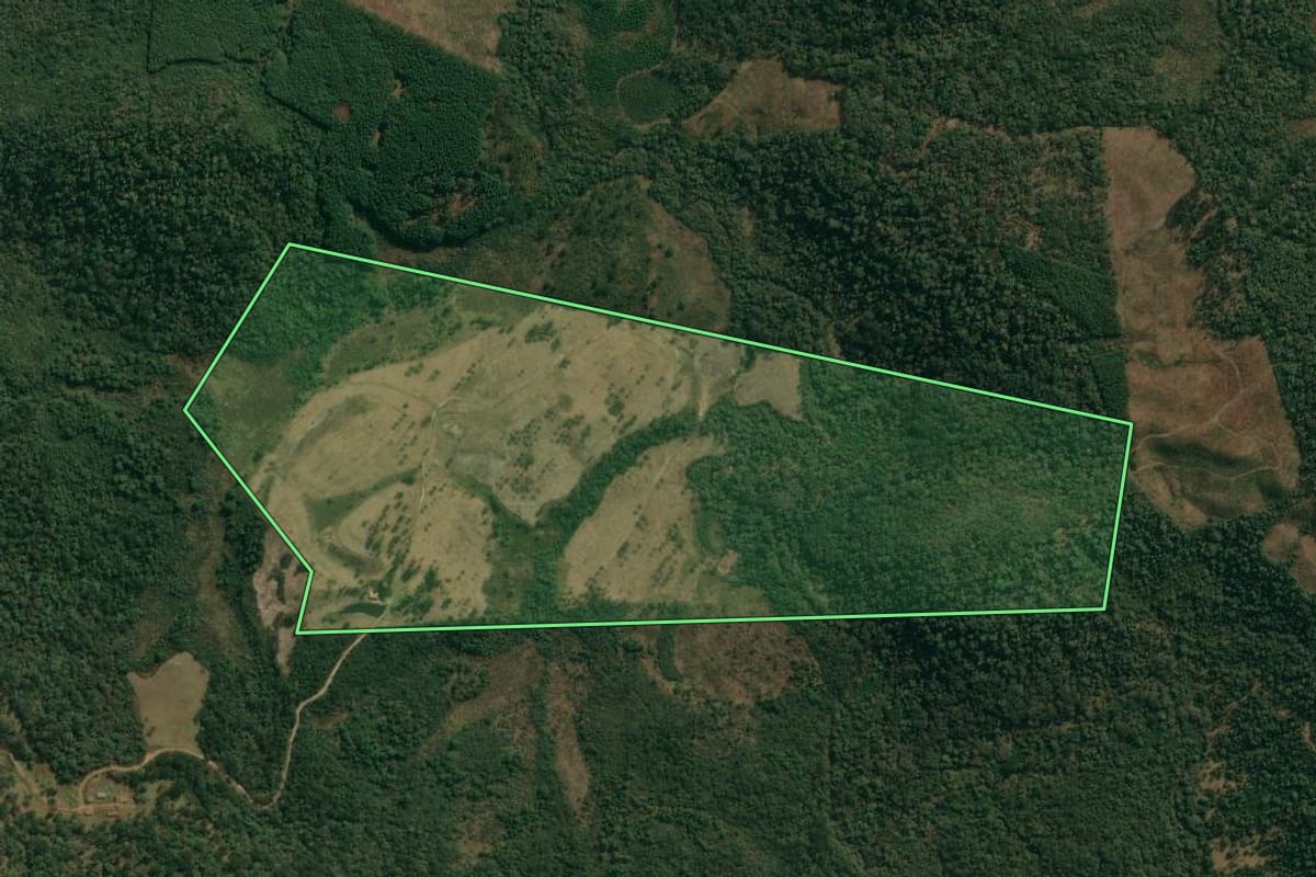 Imagem de satélite do imóvel rural em Cruz Machado (PR), com o contorno declarado no CAR desenhado por cima.