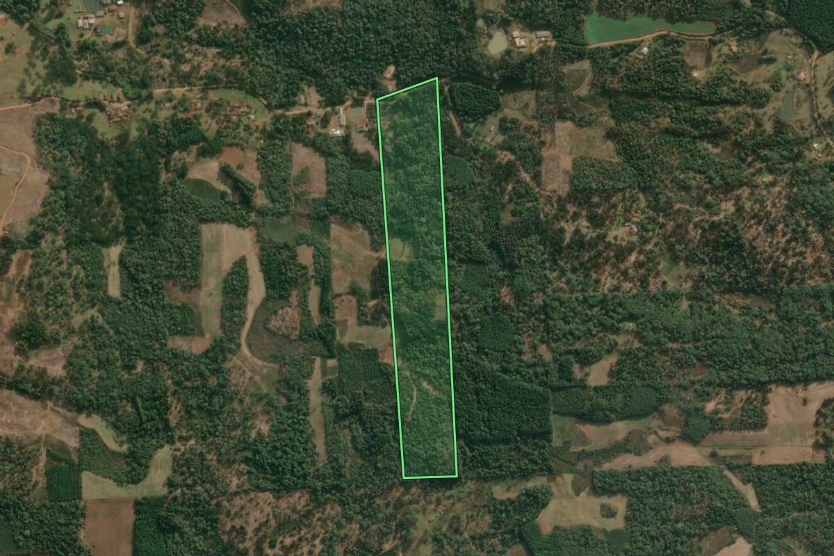 Imagem de satélite do imóvel rural em Cruz Machado (PR), com o contorno declarado no CAR desenhado por cima.