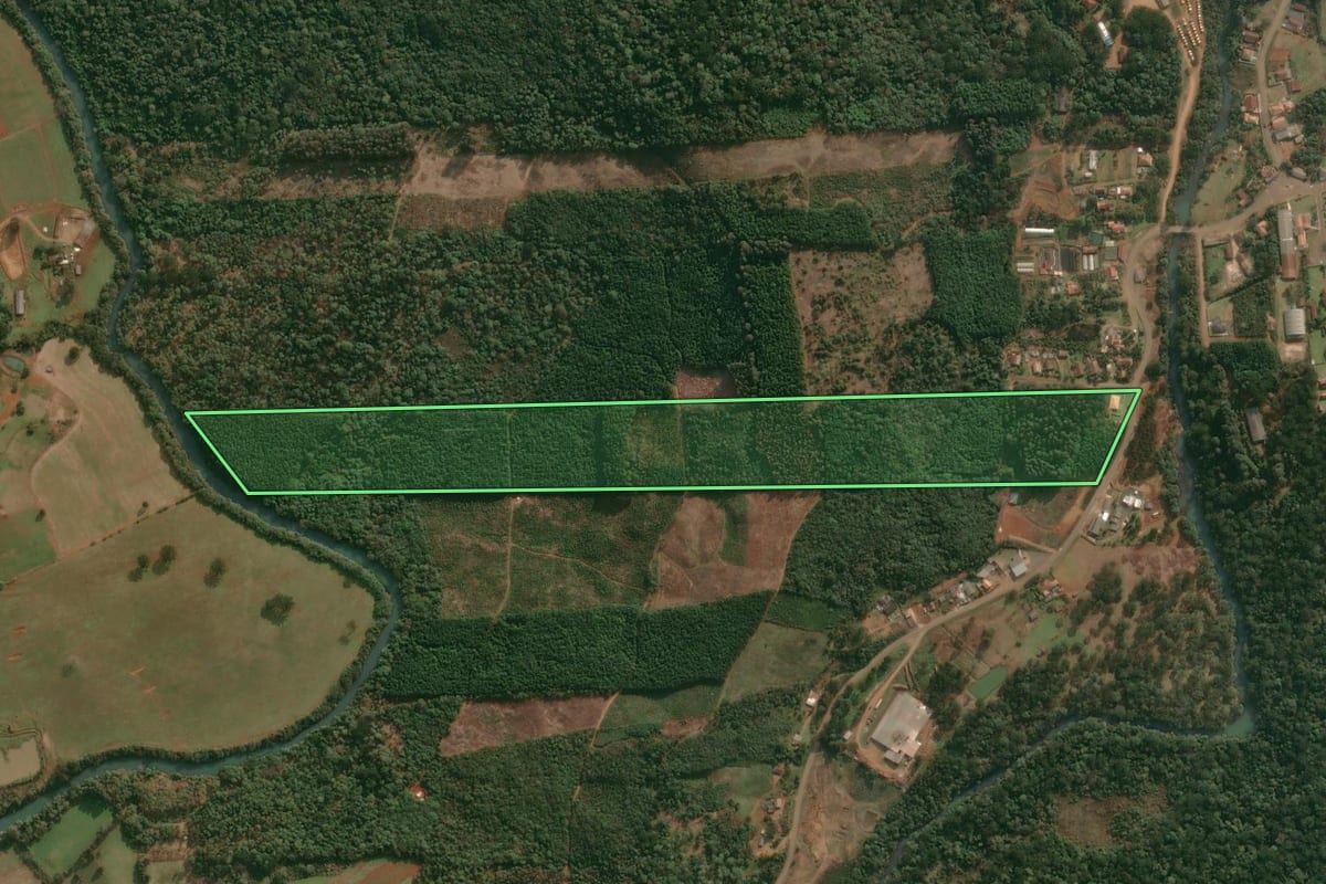 Imagem de satélite do imóvel rural em Cruz Machado (PR), com o contorno declarado no CAR desenhado por cima.